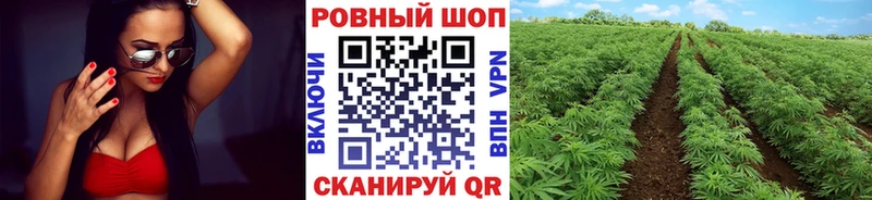 Сколько стоит Лодейное Поле Псилоцибиновые грибы  Метамфетамин  blacksprut зеркало  Меф мяу мяу 