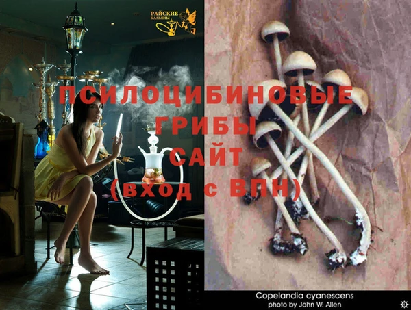 бутират Алексин